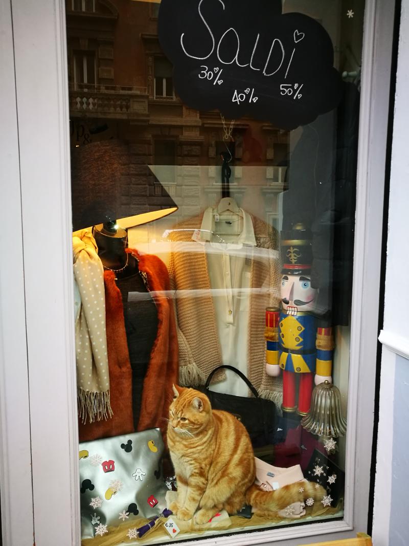 blog-animaux en vitrine!?